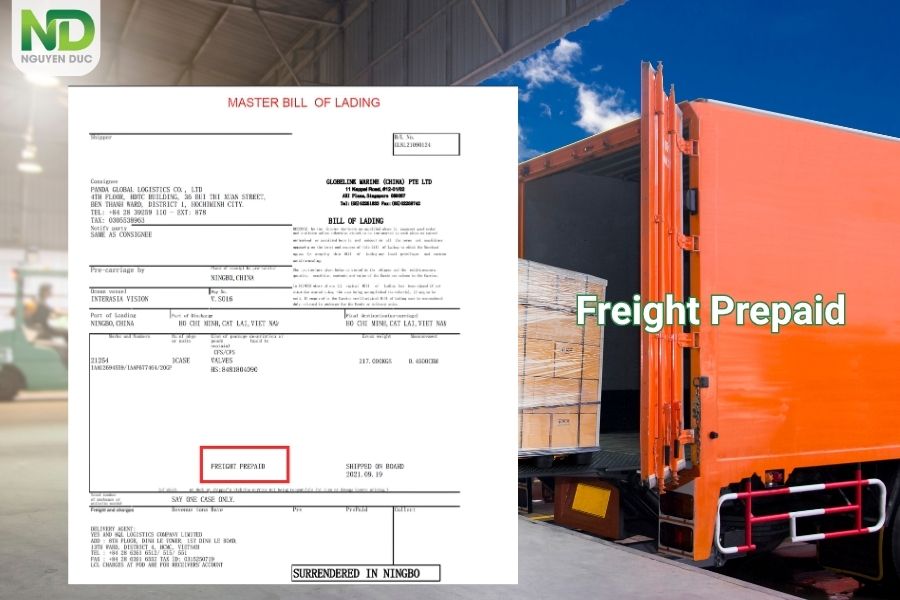 Freight prepaid là gì? Ý nghĩa và mục đích sử dụng